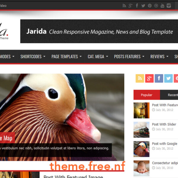 WordPress Themes Jarida v2.4.8